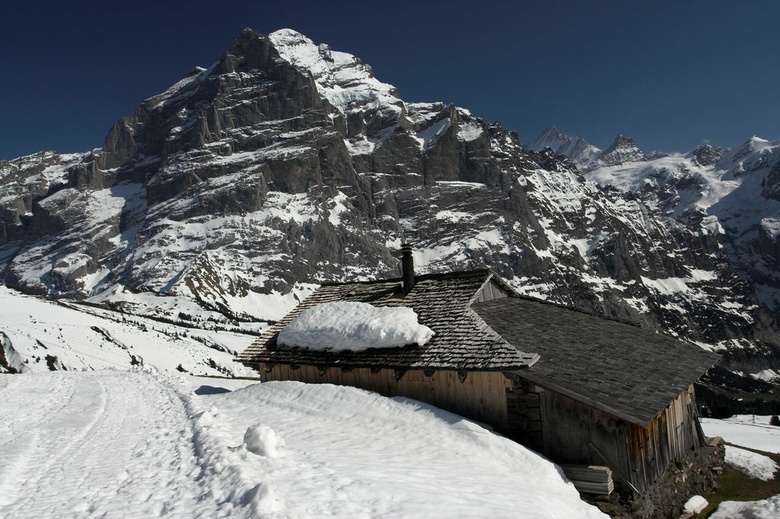 Wetterhorn (3,701 m)