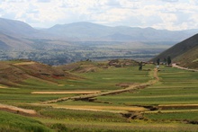 Fields in Acostambo District