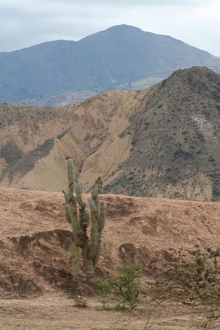 Rio Mantara Valley
