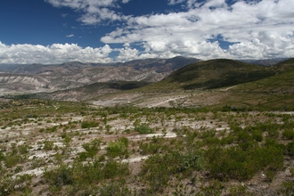 View from the Road to Ayachuco