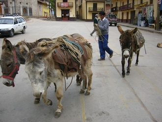 Izcuchaca