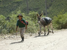 A man with his Donkey