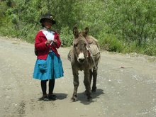 A Woman with her Donkey
