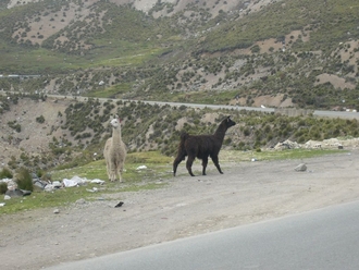 Close to Abra Anticona, Peru