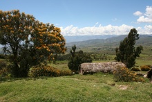 Road after Ayacucho