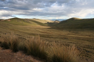 Pampa 