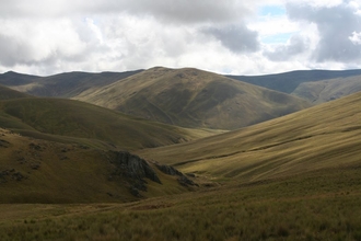 Pampa
