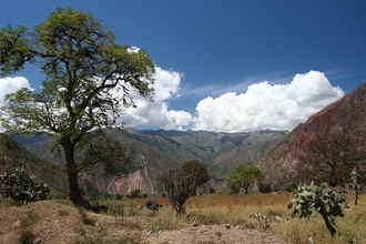 From Chumbes down to Rio Pampas