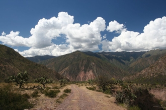 Down to the Canyon