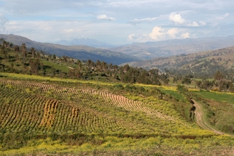 Down to Andahuaylas from the Pass
