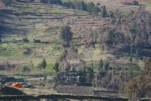 Fields