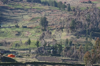 Fields