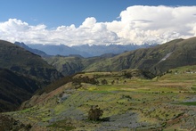 Down to the Valley Again
