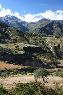 Down in the Valley