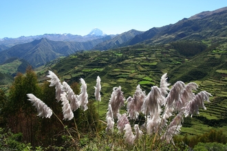 View from the Pass Abra Huillique