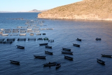 Lago Titicaca
