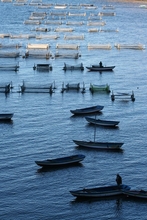 Lago Titicaca 