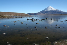 Lago Chungara (4.517 m) and Volcano Parinacota (6.348 m)