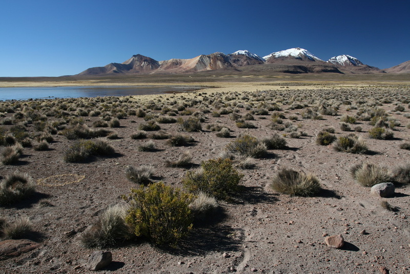 Lago Chungara