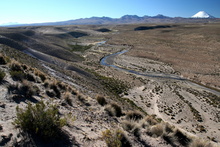 River Valley in National Park Lauca