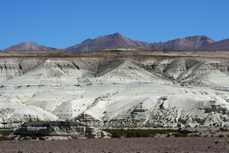 National Park Lauca