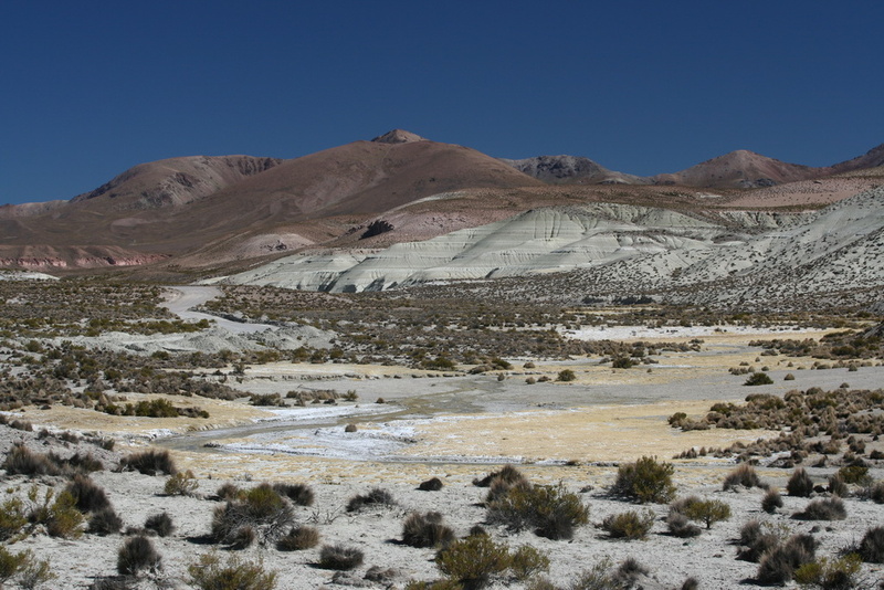 River Valley in National Park Lauca