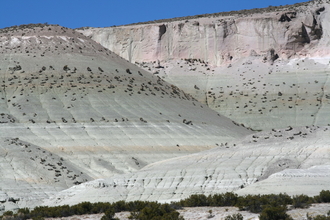 National Park Lauca
