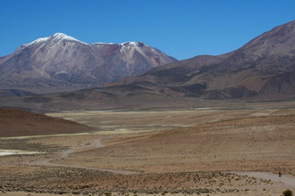 Dasa on the Road in National Park Lauca