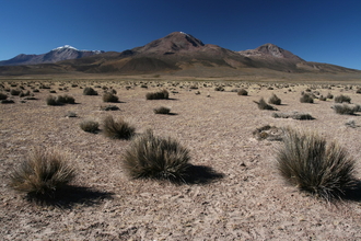 National Park Lauca