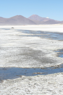 Salar de Surire