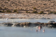 Kybi Chilling out in Thermal Pool Polloquere