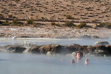 Kybi Chilling out in Thermal Pool Polloquere