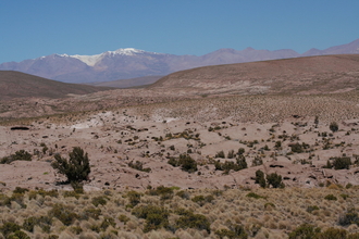 National Park Volcan Isluga