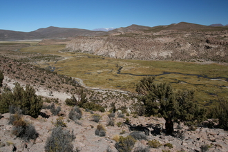 Valley in National Park Volcan Isluga