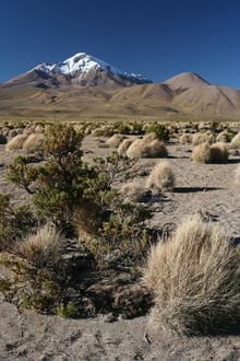 Volcan Isluga