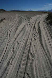 Crazy Sand!!!!!!