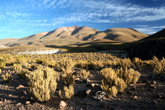 Between San Augustin and Villa Alota