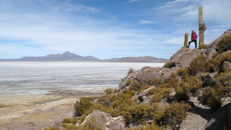 Island in Salar de Coipasa