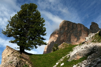 img_1789.jpg