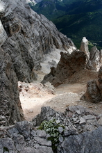 img_1849.jpg