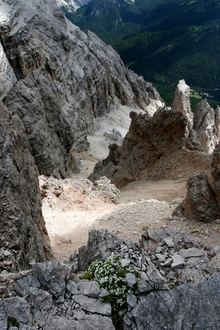 img_1849.jpg