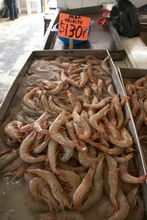 shrimp on the fish market in Veracruz
