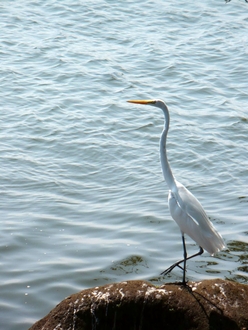 lake Catemaco