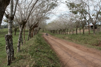 road around Catemaco lake