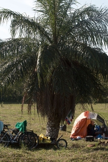 camping place in Benito Juarez, Tabasco