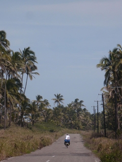 Mexican Bay coastal road