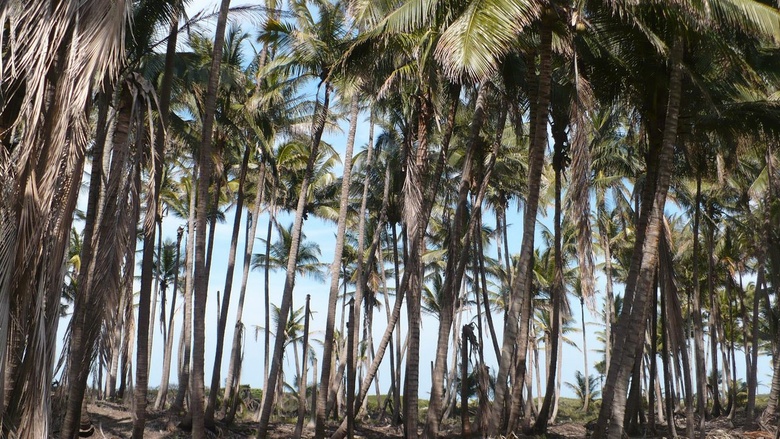 Mexican Bay coastal road