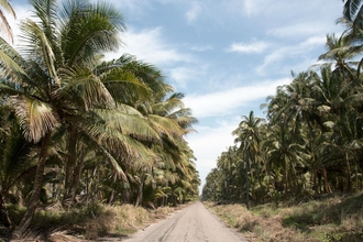 Mexican Bay coastal road