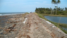Mexican Bay coastal road