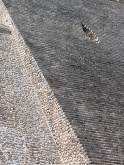The pyramide of Uxmal